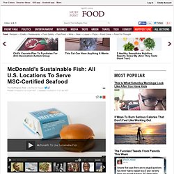 McDonald's Sustainable Fish: All U.S. Locations To Serve MSC-Certified Seafood