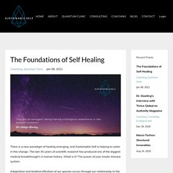 Sustainable Self, Inc. Model of Quantum Self-Healing