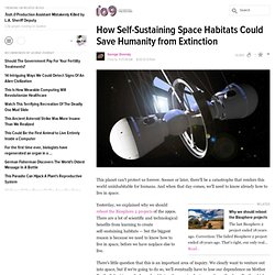 How Self-Sustaining Space Habitats Could Save Humanity from Extinction