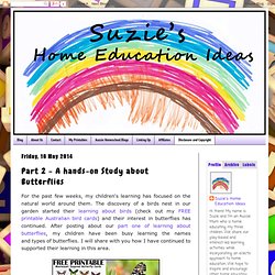 Suzie's Home Education Ideas: Part 2 - A hands-on Study about Butterflies