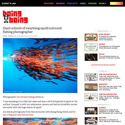 Giant schools of swarming squid surround fishing photographer
