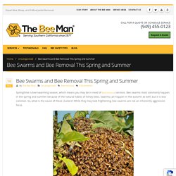 Bee Swarms and Bee Removal This Spring and Summer