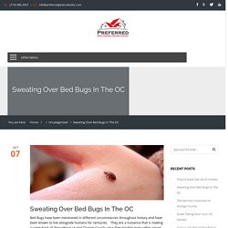 Sweating Over Bed Bugs In The OC - Orange County Pest Control
