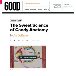 The Sweet Science of Candy Anatomy