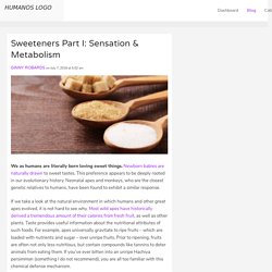 Sweeteners Part I: Sensation & Metabolism