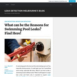 What can be the Reasons for Swimming Pool Leaks? Find Here! – Leak detection Melbourne's Blog