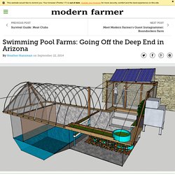 Swimming Pool Farms: Going Off the Deep End in Arizona