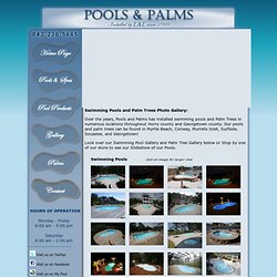 Swimming Pools and Palm Trees Installed by Pools and Palms in Myrtle Beach, Conway, Murrells Inlet, Georgetown, Horry County