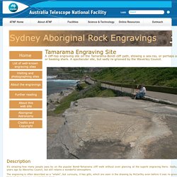 Sydney Aboriginal Rock Engravings