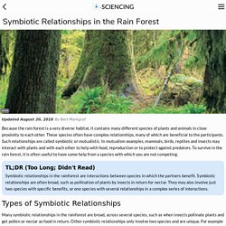 Symbiotic Relationships in the Rain Forest