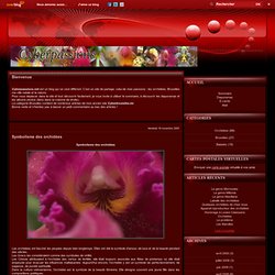 Symbolisme des orchidées - cyberpassions