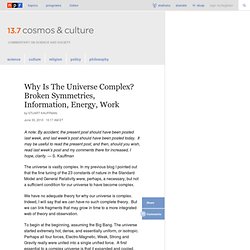 Why Is The Universe Complex? Broken Symmetries, Information, Energy, Work