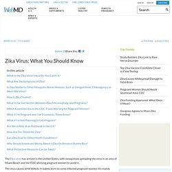 Zika Virus Symptoms, Countries, Risk, and Prevention