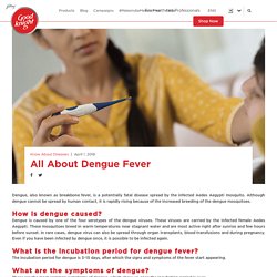 Causes & Symptoms of Dengue Fever – Good knight