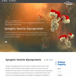 Synaptic Vesicle Glycoprotein