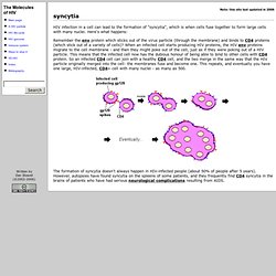 Molecules of HIV