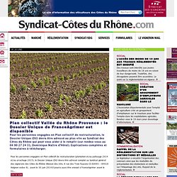 Internet au service des viticulteurs d'Appellation d'Origine Contrôlée