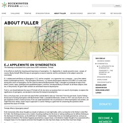 The Buckminster Fuller Institute