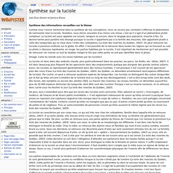 Synthèse sur la luciole — WikiPistes