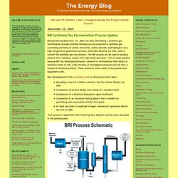BRI Synthesis Gas Fermentation Process Update