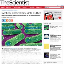 Synthetic Biology Comes into Its Own
