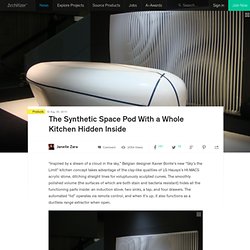 The Synthetic Space Pod With a Whole Kitchen Hidden Inside