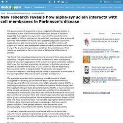 New research reveals how alpha-synuclein interacts with cell membranes in Parkinson's disease