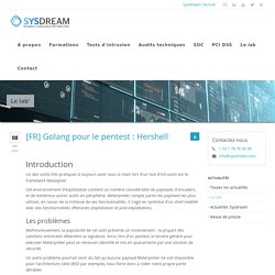 , [FR] Golang pour le pentest : Hershell