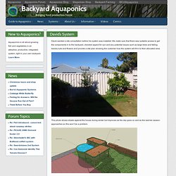 David's System - Backyard Aquaponics