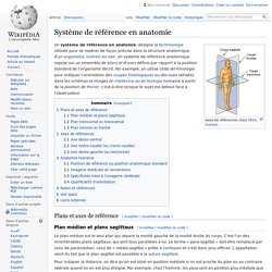 Système de référence en anatomie