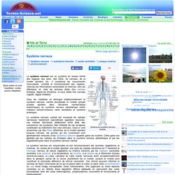 Définition Système nerveux - Encyclopédie scientifique en ligne