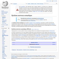 Système nerveux somatique