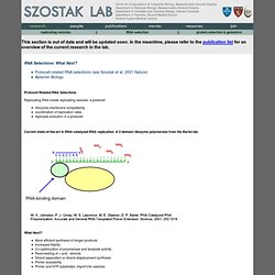 Szostak Lab: Research