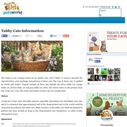 Tabby Cats Information
