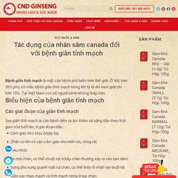 Tác dụng của nhân sâm canada đối với bệnh giãn tĩnh mạch