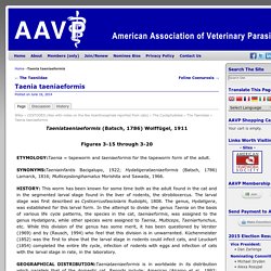 American Association of Veterinary Parasitologists