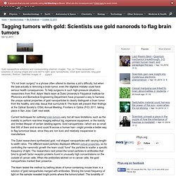 Tagging tumors with gold: Scientists use gold nanorods to flag brain tumors