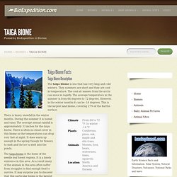 Taiga Biome - Facts and Information - The Portal of Life