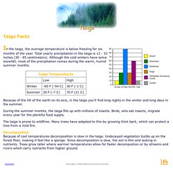 Taiga Facts