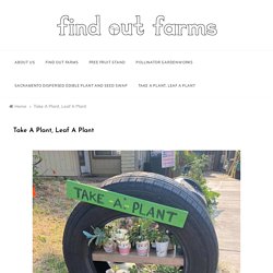 Take A Plant, Leaf A Plant – find out farms