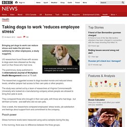 Taking dogs to work 'reduces employee stress'