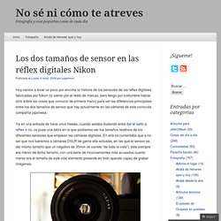 Los dos tamaños de sensor en las réflex digitales Nikon