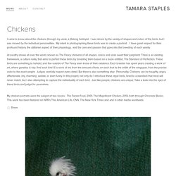 Tamara Staples - animal - poule - chicken - food