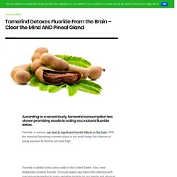 Tamarind Detoxes Fluoride From the Brain - Clear the Mind AND Pineal Gland