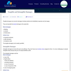 Tangible and Intangible Damages
