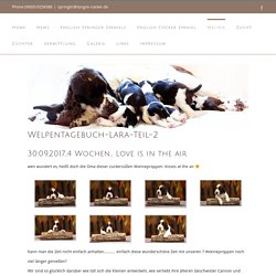 Tango´s E-Wurf 2017. Welpentagebuch-Lara-Teil-2