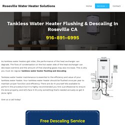 Tankless Water Heater Flushing & Descaling in Roseville, CA