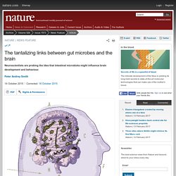 The tantalizing links between gut microbes and the brain