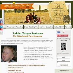 Toddler Temper Tantrums The Attachment Parenting Way