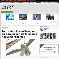 Tanzanie : la construction du parc éolien de Singida à nouveau reportée